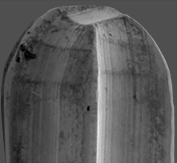 Piscium_Alpha Nano Diamond Burs_longevity_3