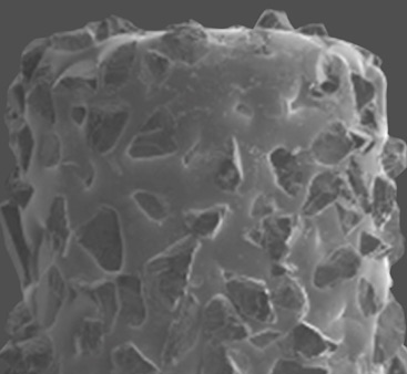 Piscium_Alpha Nano Diamond Burs_longevity_4